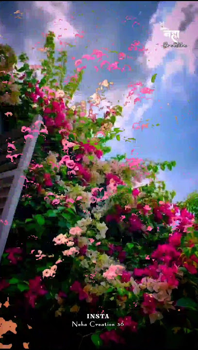 Jaise Pahad Le Pani Gori Cg Status 💗👀🌍 #cgshorts  #chhattisgarh #cgvideo #viral #shorts #cgstatus