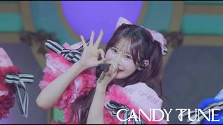 【LIVE映像】CANDY TUNE「アイしちゃってます♡」＠Kアリーナ横浜(2026/2/11)