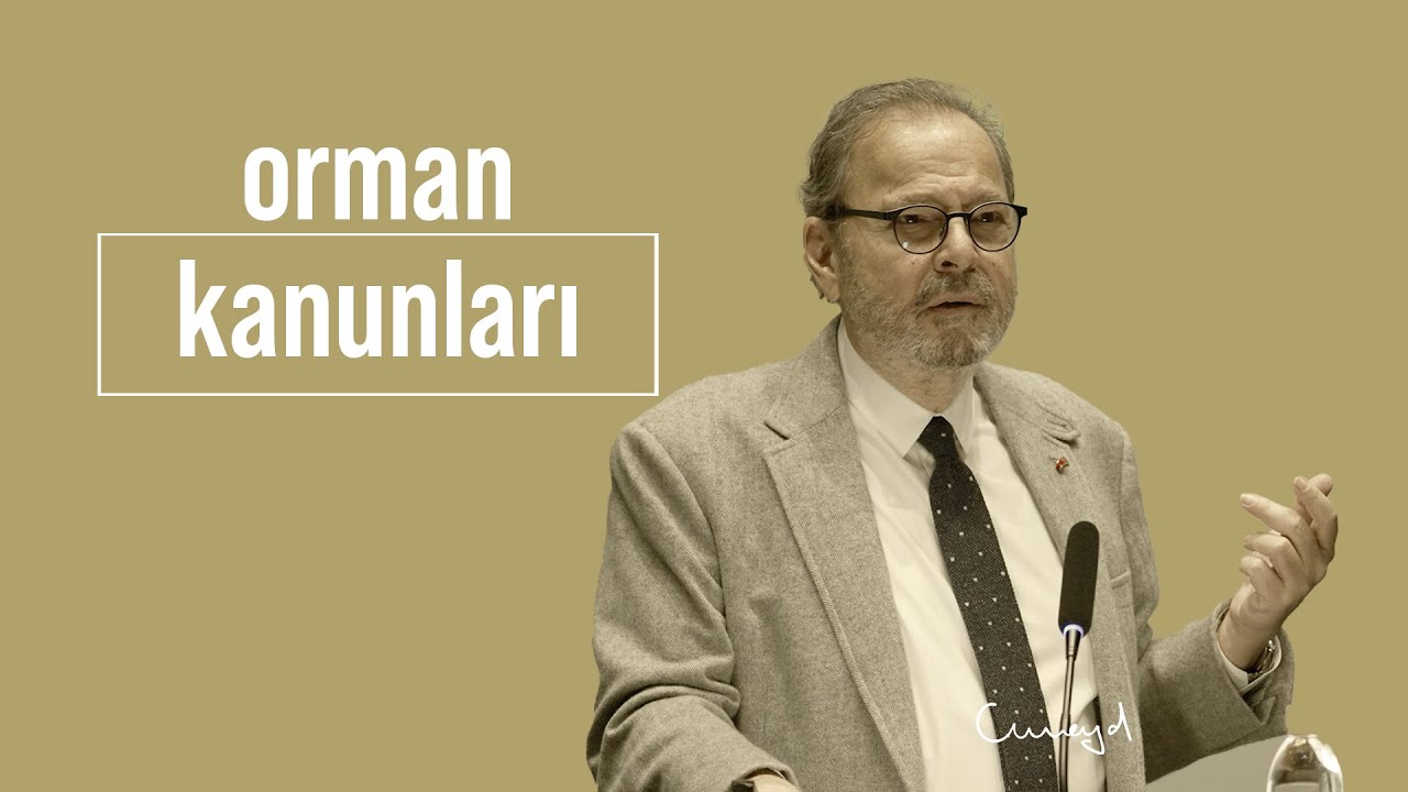 Orman Kanunları