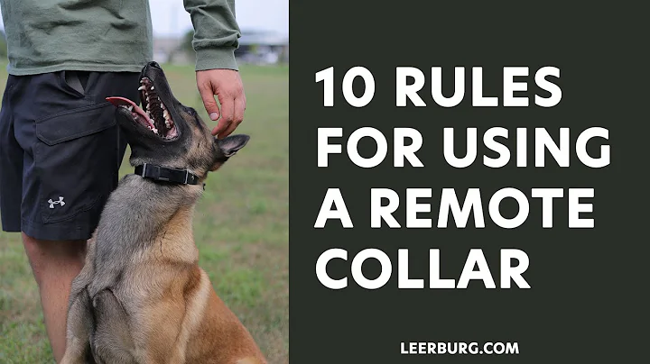 Ed Frawley's 10 Rules for Using A Remote Collar