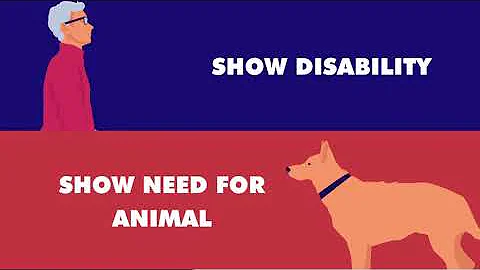 Reasonable Accommodations and Assistance Animals