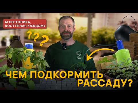Are your seedlings turning yellow and not growing? The whole truth about fertilizers (nitrogen, p...
