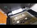 servicio tecnico toshiba estudio 200 230 280 trabas de papel