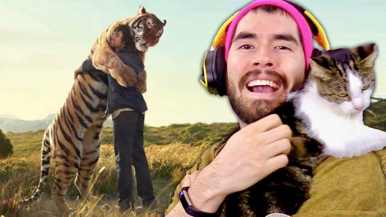 EMOTIVOS REENCUENTROS DE ANIMALES CON SUS DUEÑOS