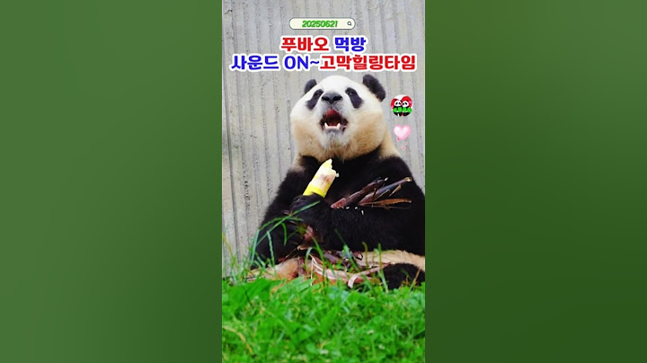 🚦푸바오 먹방ASMR 눈과귀 호강하네 #푸바오실시간 #푸바오근황 #판다월드 #에버랜드 #아이바오 #러바오 #루이바오 #후이바오 #강바오 #송바오