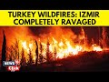 Turkey Wildfire Forces 50 000 To Flee As Heat Winds Escalate Turkey News Today Izmir N18G 