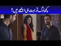 Watch Affan Waheed & Hira Mani | Best Scenes | Do Bol Online In Hd