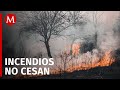 Continúa la alerta por 19 incendios forestales activos en Oaxaca