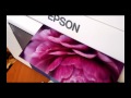Epson SureLab D700 Lustre paper standart quality