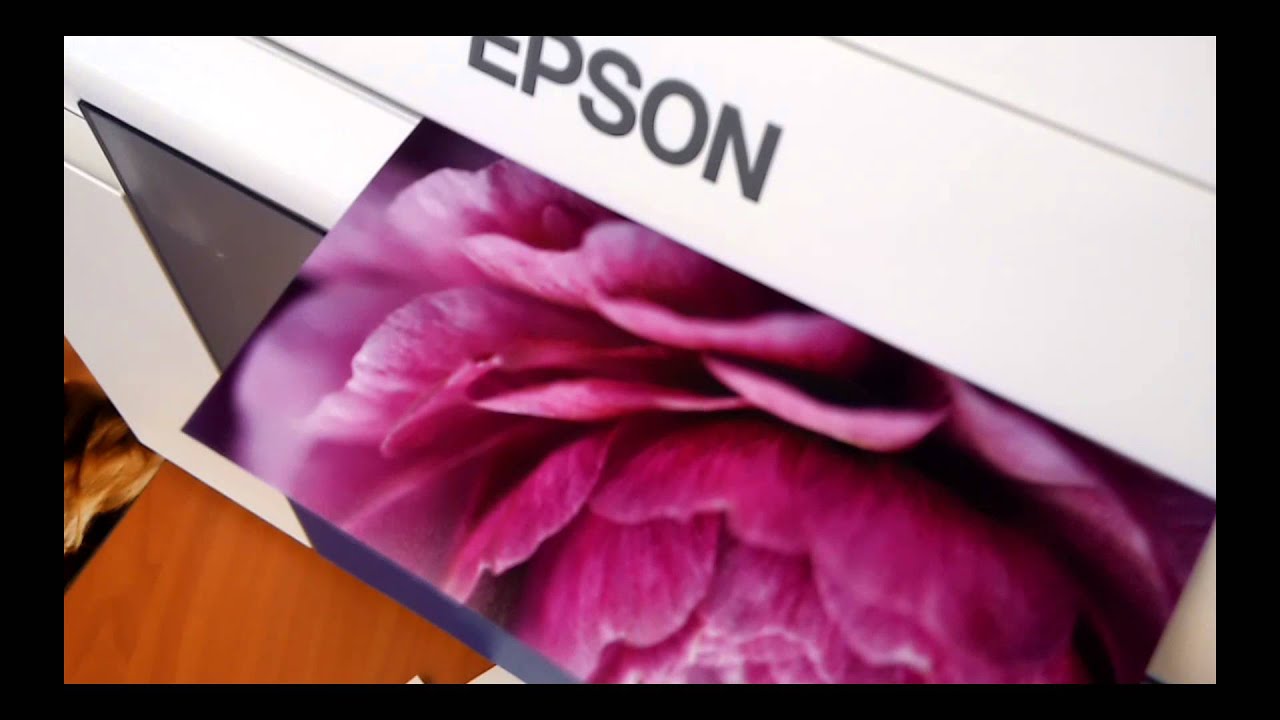 Epson SureLab D700 Lustre paper standart quality