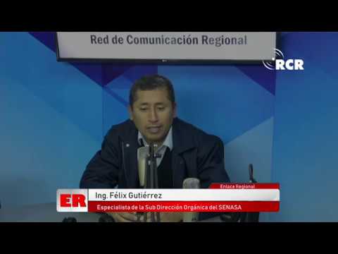 Programa Enlace Regional