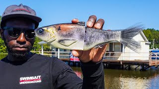 Fishing GIANT Swimbaits On Docks with Geoff Hamilton