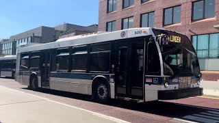 MTA NYCT #8413 on the Q83 Limited & ￼#8450 on the Q4 Limited