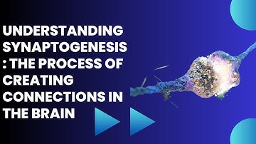 Understanding Synaptogenesis: The Process of Creating Connections in the Brain