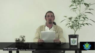 Marijuana Scholarship program for Cannabis college - Whats Growing On?