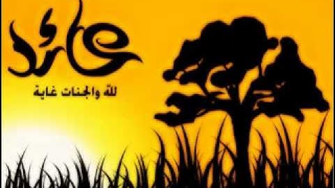 تلاوات خاشعه سلطان العمري