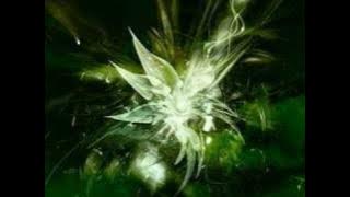 DJ Cam  - Mental Invasion