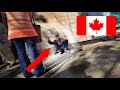 БЕЗДОМНЫЕ И БОМЖИ В КАНАДЕ - Жизнь в Канаде 2019 | Виктория Британская Колумбия Канада