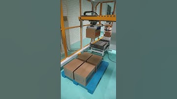 Palletizer Onsite real shot Factory real shot Folding box machine Carton sealing.