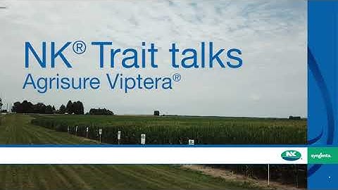 NK trait talks: Agrisure Viptera