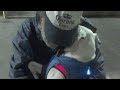 【私の犬を助けてください】路上で出会った女性に、余命あとわずかなホームレス男性が託した願いに涙が止まらない【感動実話】