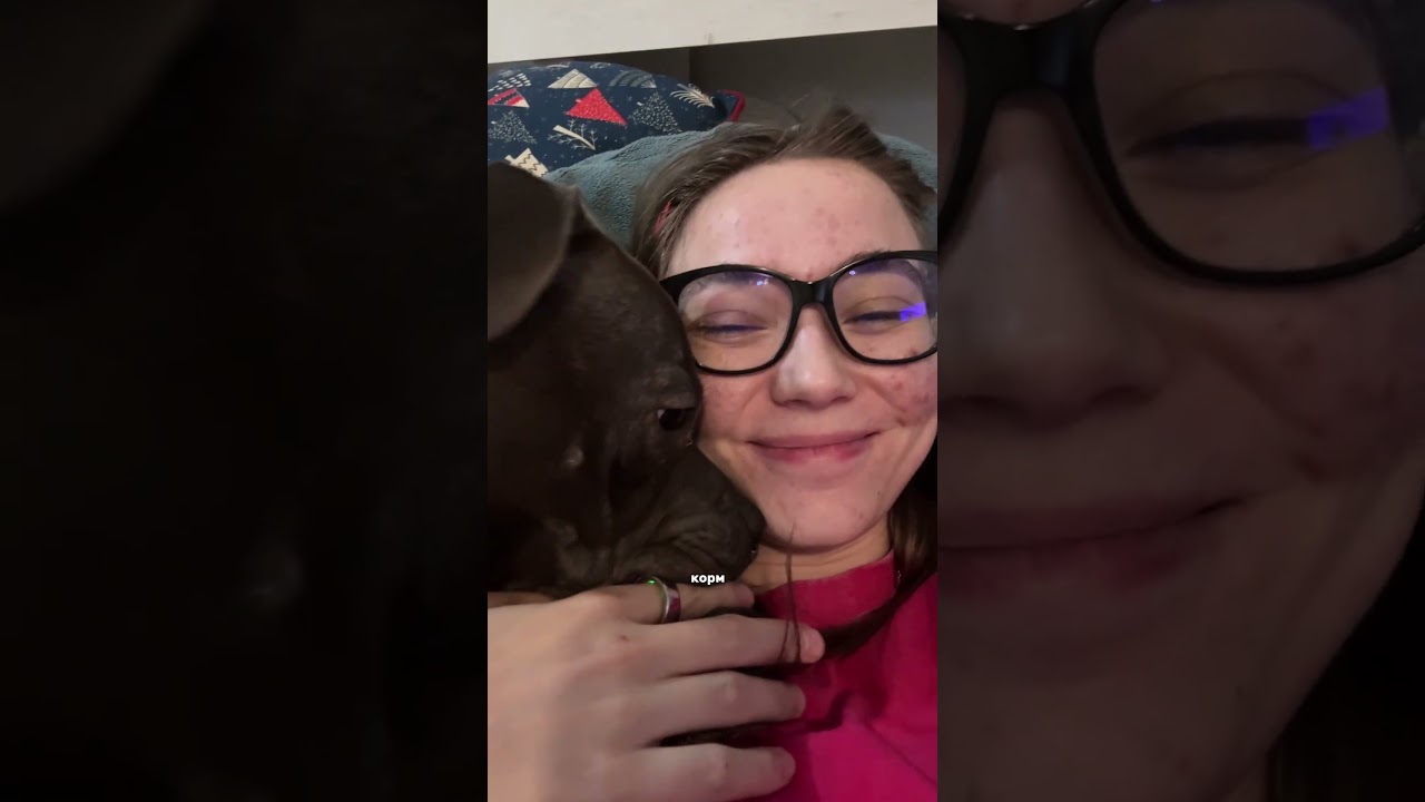 10 раз подумайте прежде чем заводить стаффи