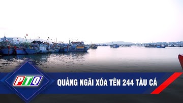 Quảng Ngãi xóa tên 244 tàu cá | PTQ