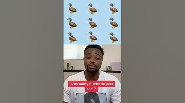 How Many Ducks Do You See?