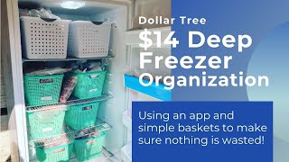 Dollar Tree Deep Freezer Organization |  No More Waste!