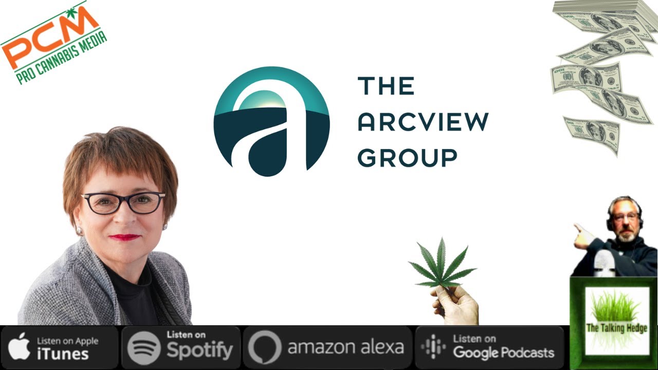 Interview with a Chief Investment Officer in the Cannabis Industry