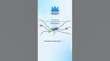 Что такое канальный уровень модели TCP/IP