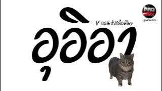 #มาแรงในTikTok ( อุอิอา ) V.แดนซ์ยกล้อมันๆ Pao Remix