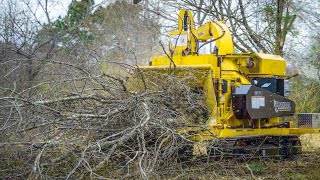 Amazing Big Whole Tree Chipping Crusher Machines Working, Fastest Wood Destroyer Shredding Equipment