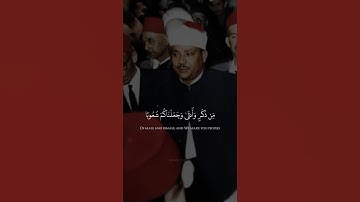 يَا أَيُّهَا النَّاسُ إِنَّا خَلَقْنَاكُم مِّن ذَكَرٍ وَأُنثَىٰ | عبد الباسط عبد الصمد| سورة الحجرات