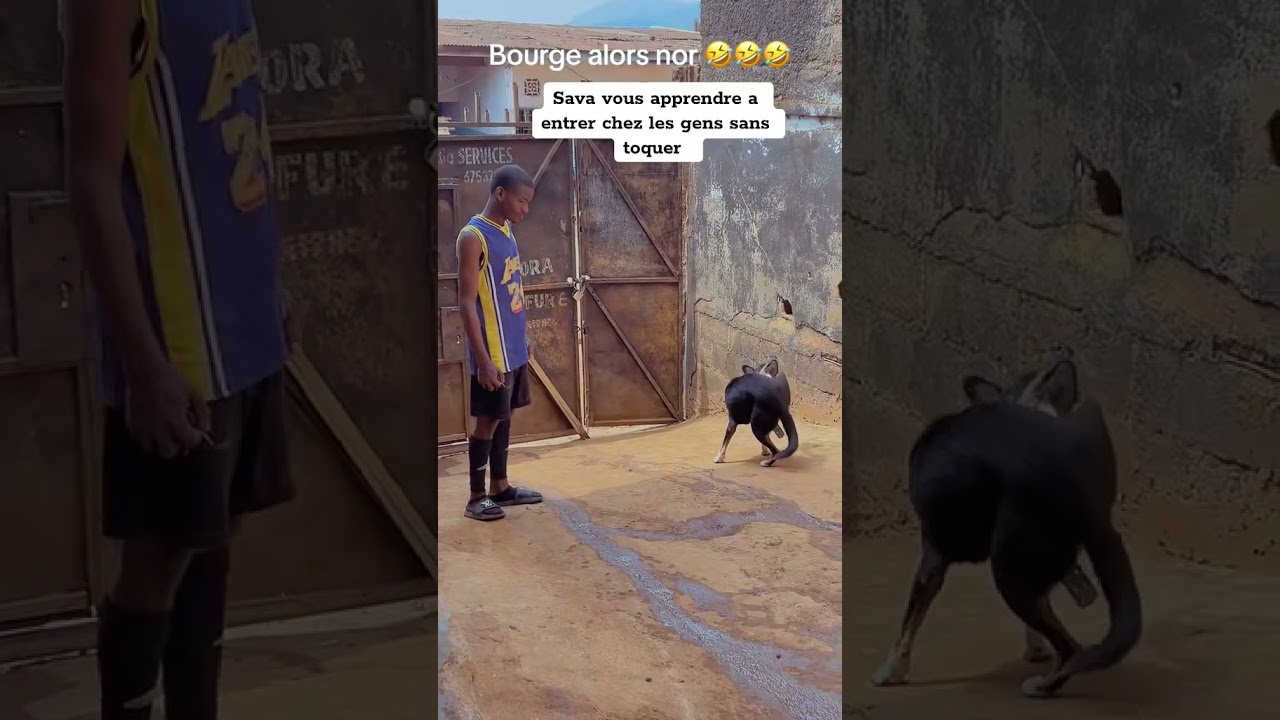 Ces ton pb si il te croque 