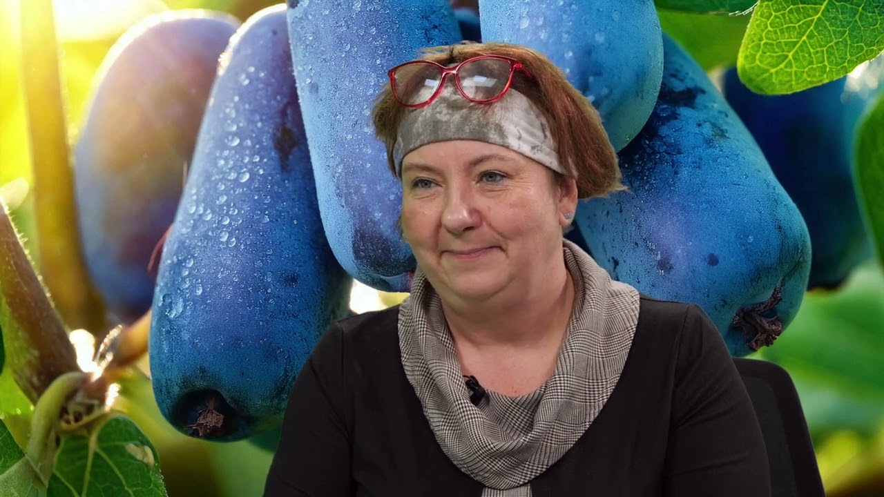 Jagoda kamczacka, Superowoc Przyszłości: prof. dr hab. inż. Monika Bieniasz/Jacek Bańka Radio Kraków