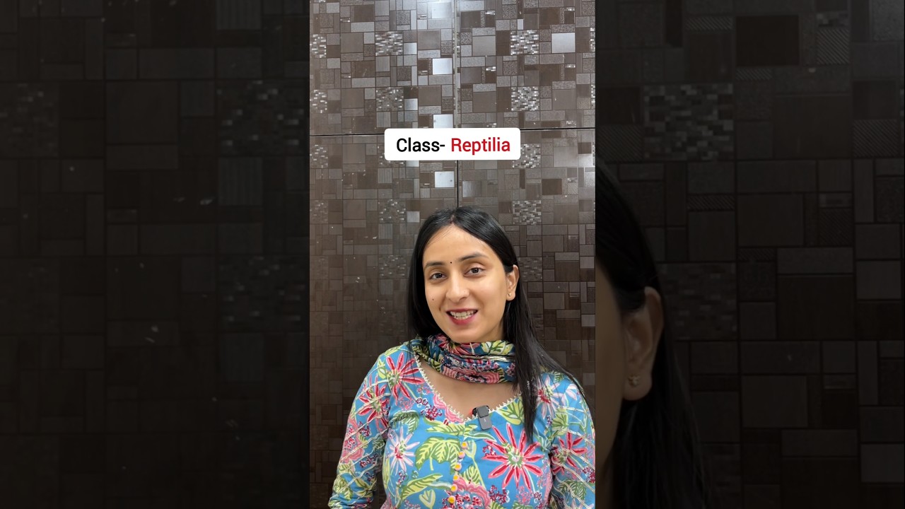 Class Reptilia | Animal Kingdom 