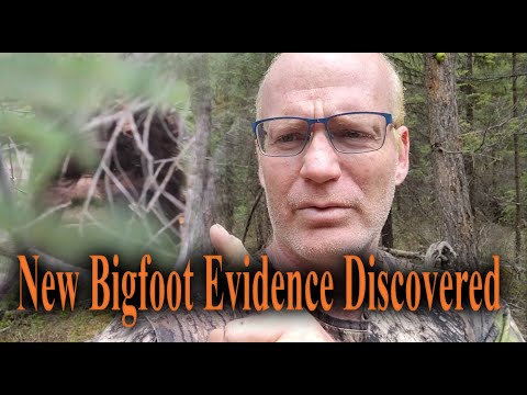 New Bigfoot evidence