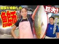 【社長の神捌き】約10kgのブリを魚屋流の鍋にしたら悶絶する美味しさでした