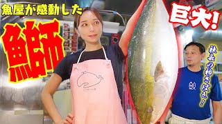 【社長の神捌き】約10kgのブリを魚屋流の鍋にしたら悶絶する美味しさでした