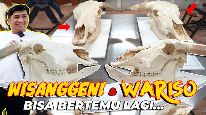 MASYAALLAH... INI DIA KERANGKA KEPALA WARISO & WISANGGENI BERHASIL MENJADI BAHAN PENELITIAN..!!