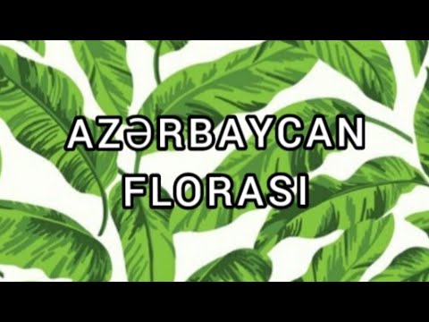 Video: Flora Ve Fauna Nedir