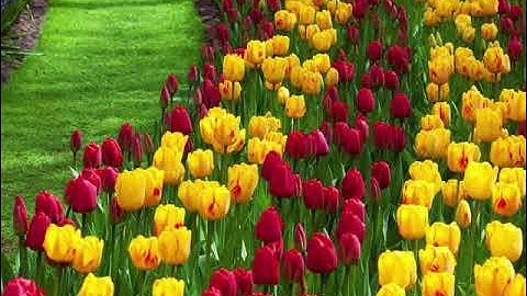 سورة الانفطار لمن يبحث عن الراحه النفسيه والهدوء للقارئ محمود علي البنا رحمه الله ( Holy Quran )