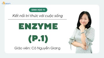 [Sinh học 10] ENZYME (P.1) - Kết nối tri thức với cuộc sống | CoLearn