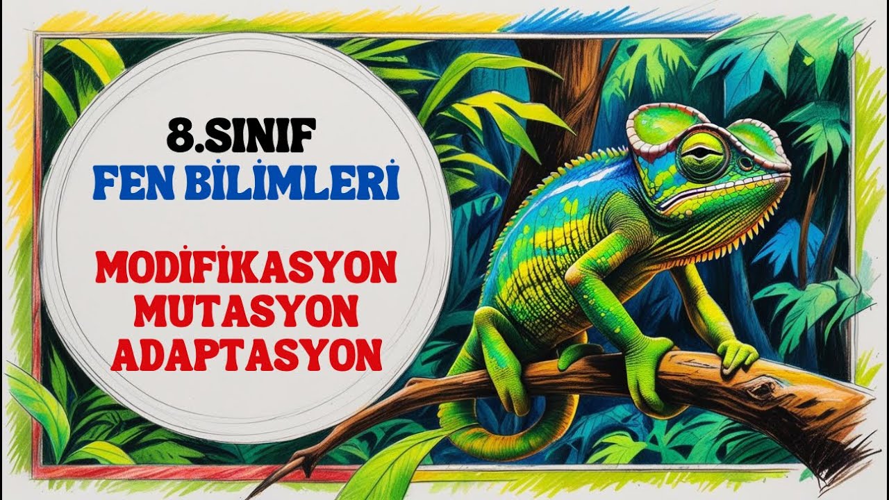 8.Sınıf Fen Bilimleri - Modifikasyon Mutasyon Adaptasyon #konuanlatımı
