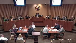 Special Village Board Meeting (3/3/20)