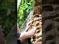 Survival Challenge  #lifehack #smartliving #simpleliving #lifehacks #dailylife #viralvideoshorts