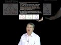 Почки \ Вячеслав Дубынин #почки #выделение #биология
