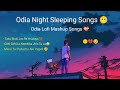 Night Sleeping Odia Sad 😢 Lofi Song Mashup || Human Sagar || #humansagar #odia #lofi #sad Mp3 Song
