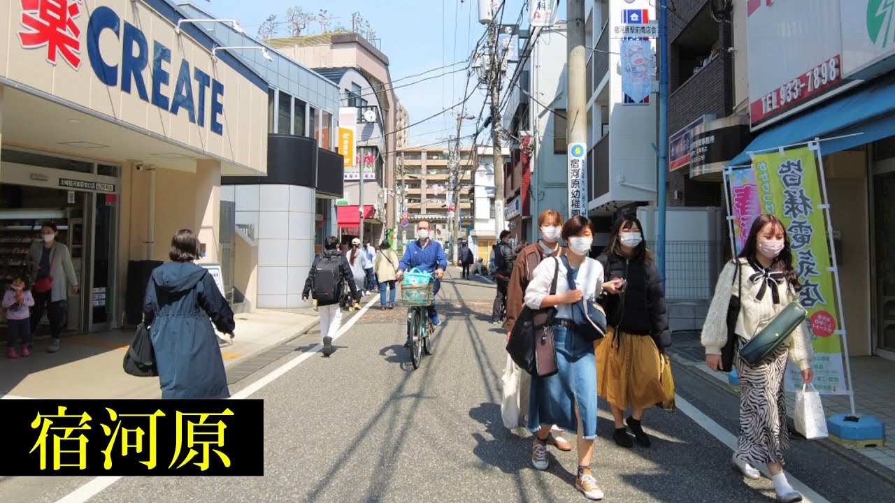 宿河原・桜　Tokyo Walking 🌞4K　Kawasaki　Cherry Blossoms　&　Streets　Japan🎧HQ Binaural　二ヶ領用水　（川崎市）　睡眠用・東京散歩